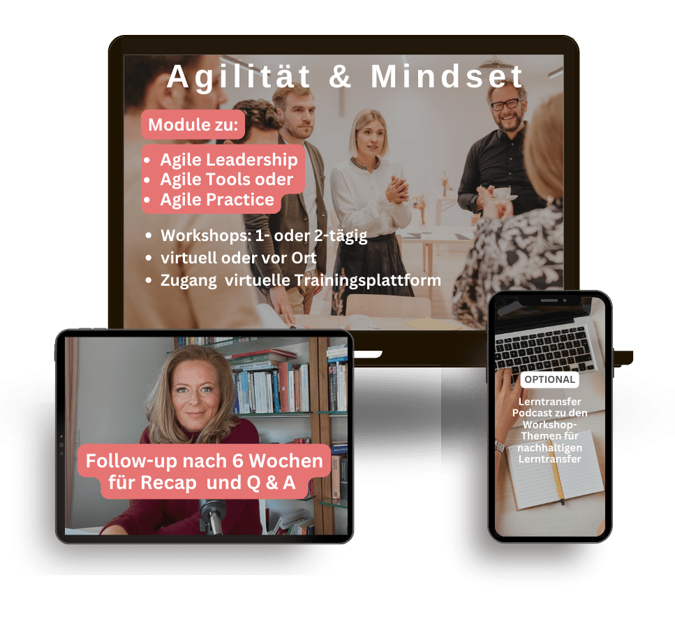 Trainingspackage Agilität & Mindset