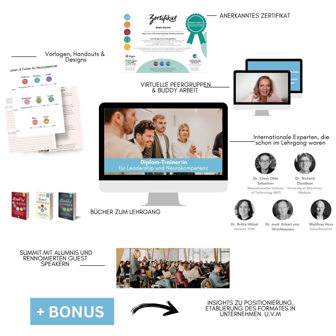 Mock-up Diplom Trainer Lehrgang Positive Psychologie Meinfulnes und Resilienz
